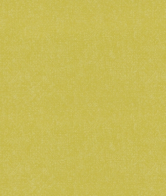 H1001-19