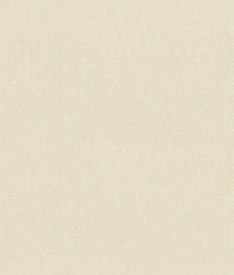 H1001-03