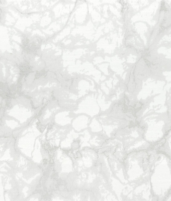 R1925-01