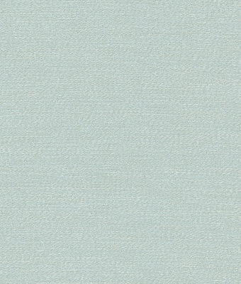 H1006-06