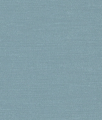 H1006-09