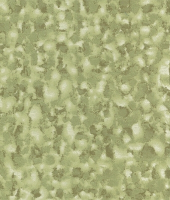 G1779-10