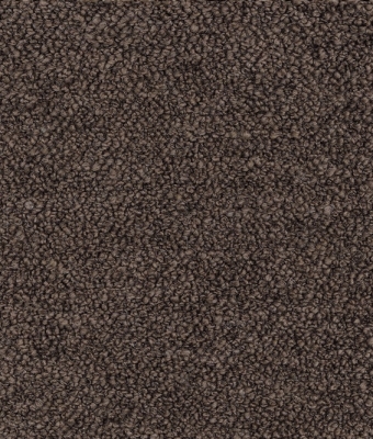VW-24979-04